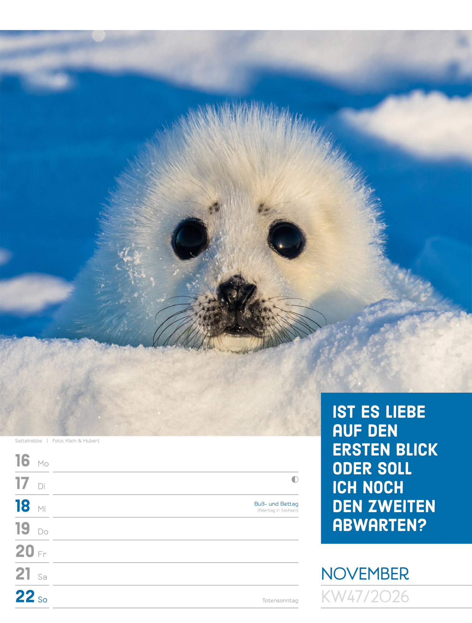 9783838426969_innenansicht_50.jpg