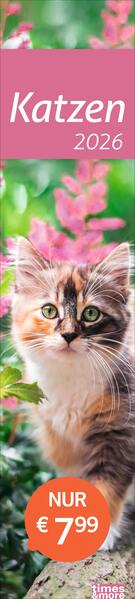 9783756412938 9783756412938