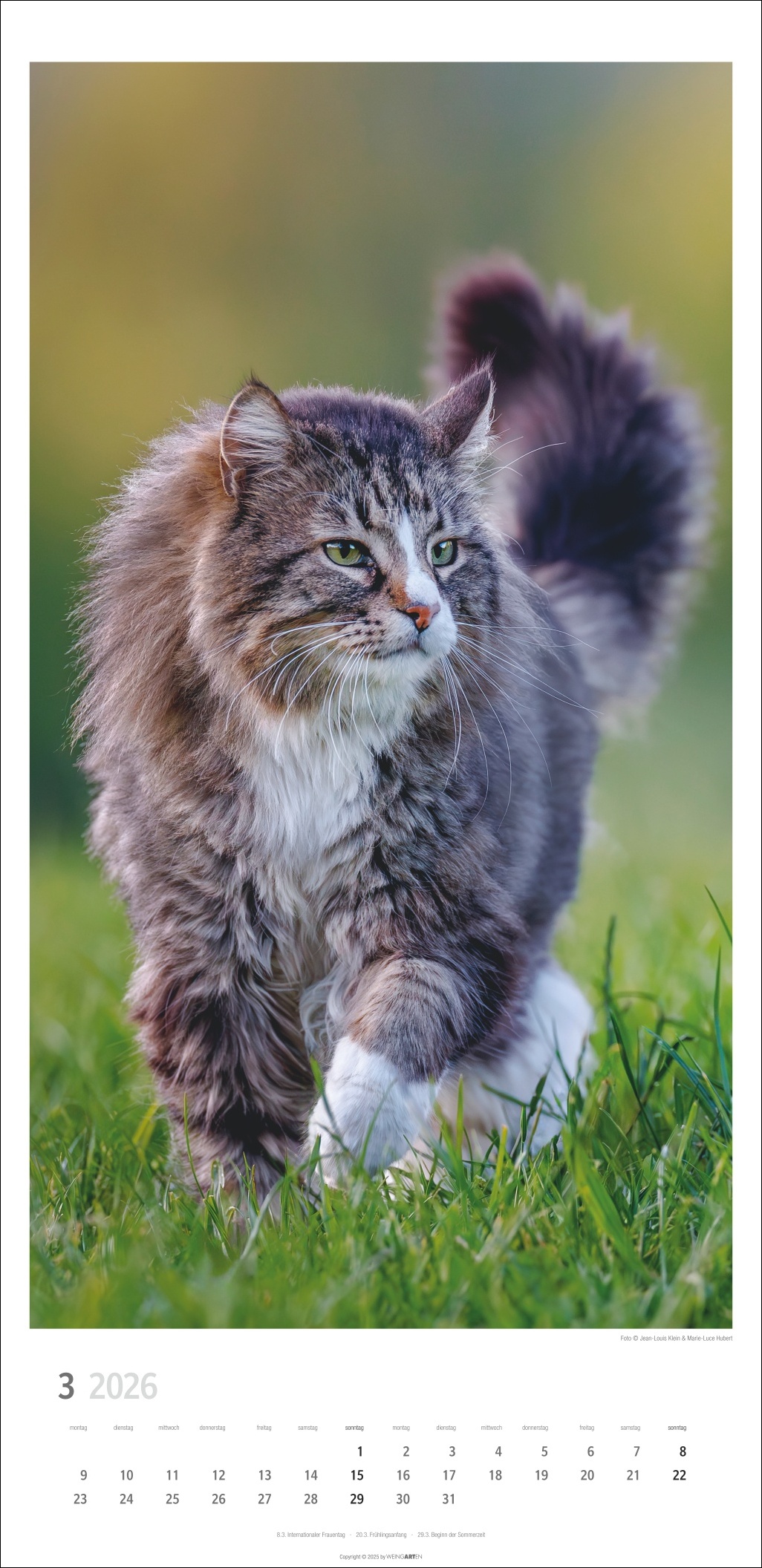 9783839903025_innenansicht_03 9783839903025_innenansicht_03.jpg