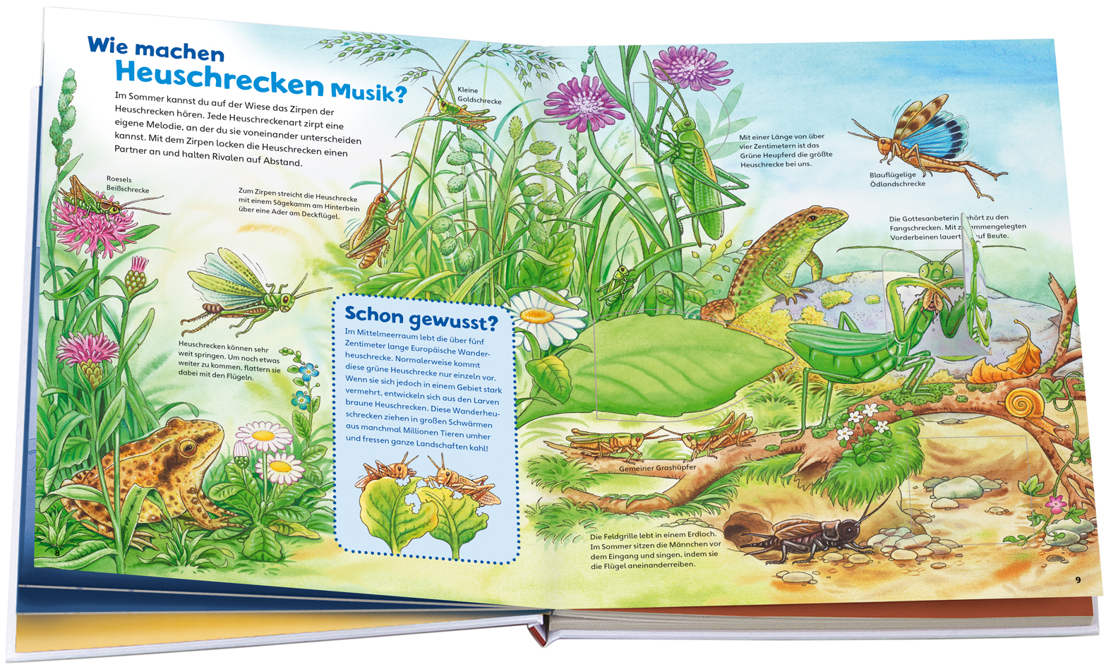 9783788622251_innenansicht_02.jpg