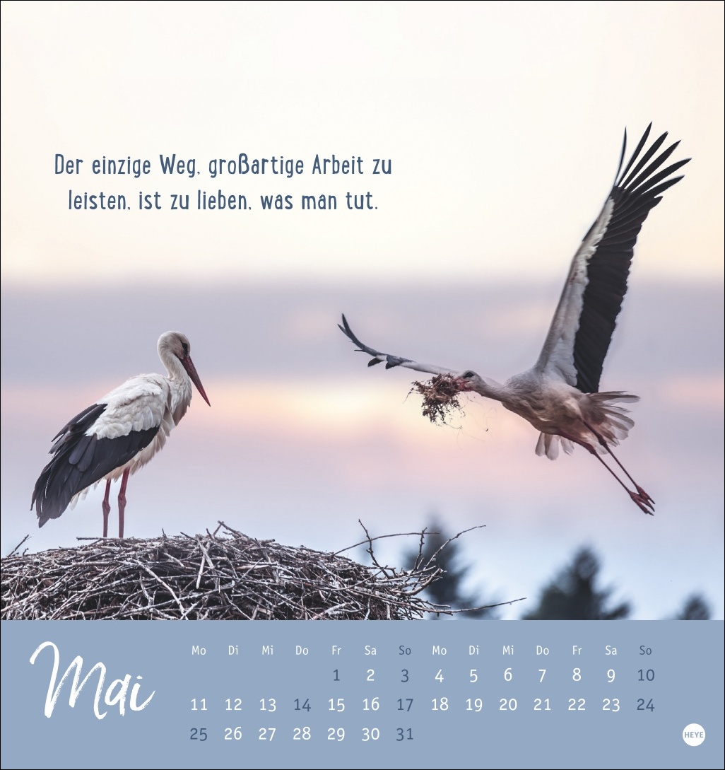9783756411948_innenansicht_05.jpg