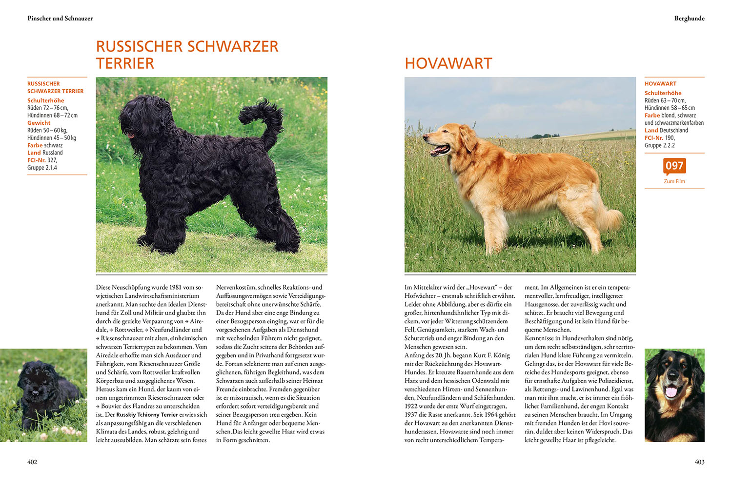 9783440176955_innenansicht_04 9783440176955_innenansicht_04.jpg