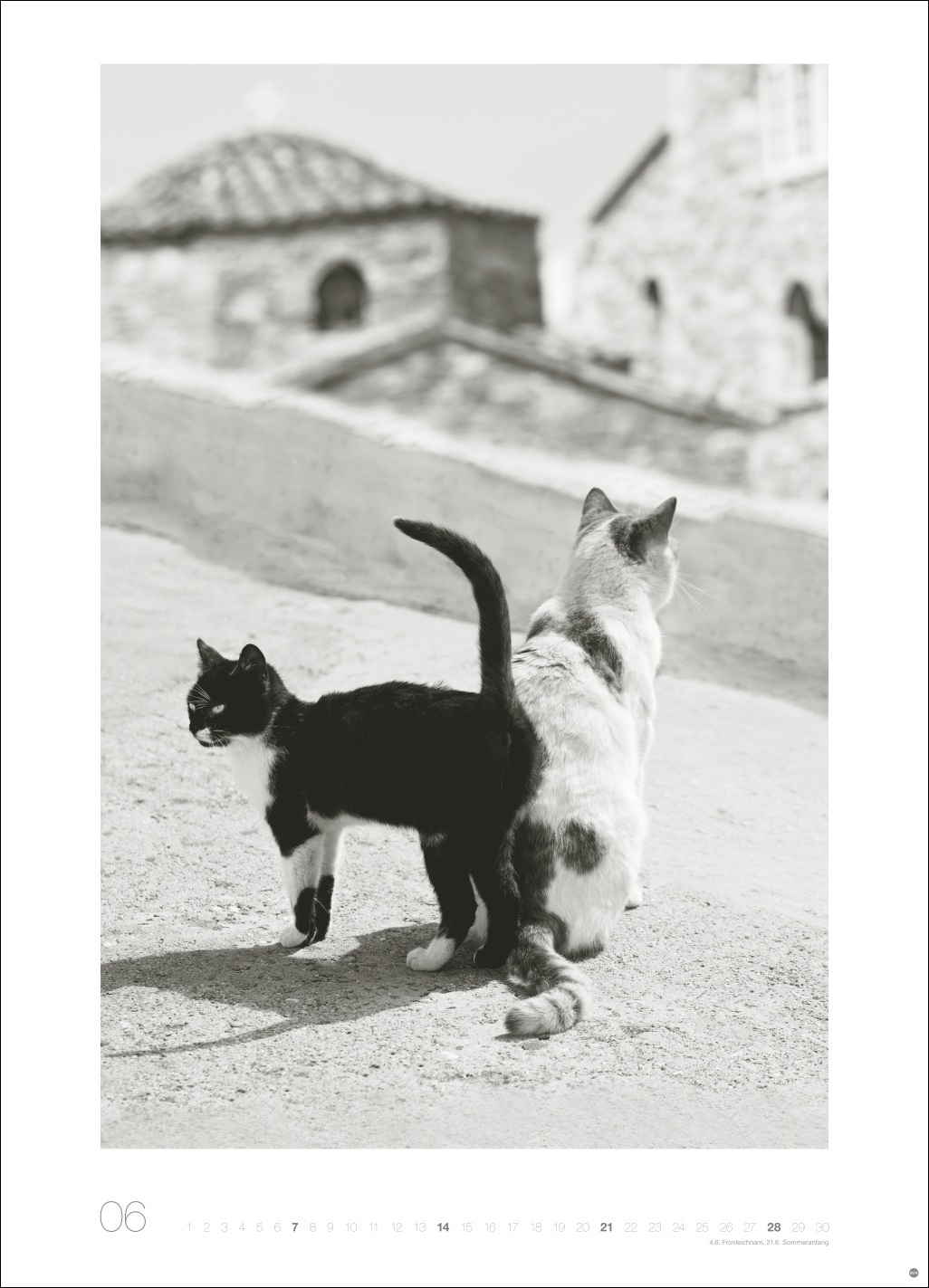 9783756411313_innenansicht_06 9783756411313_innenansicht_06.jpg