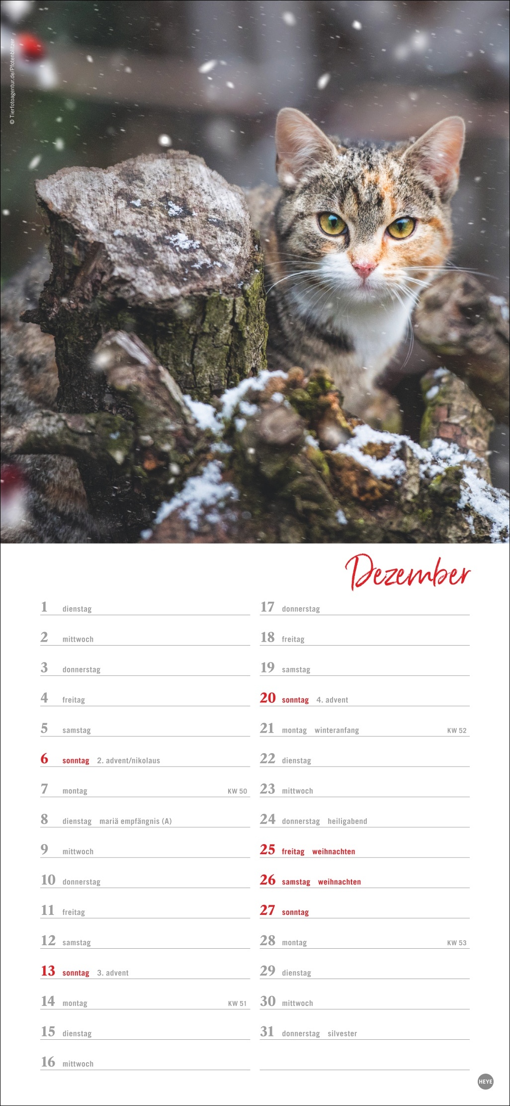 9783756409778_innenansicht_12 9783756409778_innenansicht_12.jpg