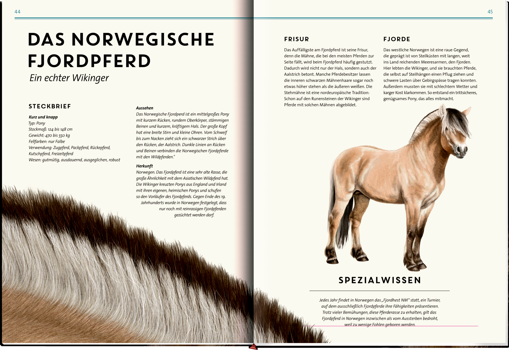 9783649646495_innenansicht_06 9783649646495_innenansicht_06.jpg