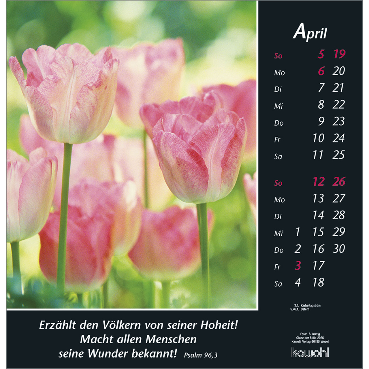 9783754820063_innenansicht_04.jpg