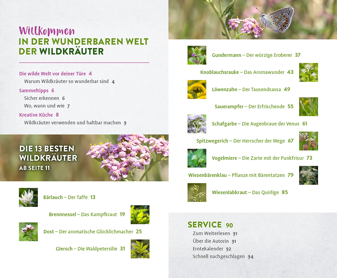 9783818623937_innenansicht_01.jpg