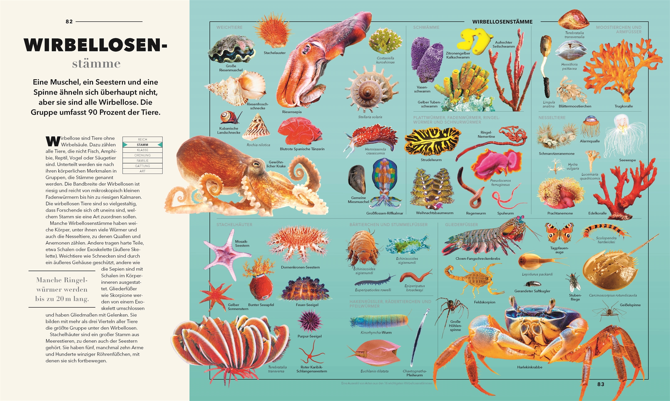 9783831050826_innenansicht_10 9783831050826_innenansicht_10.jpg