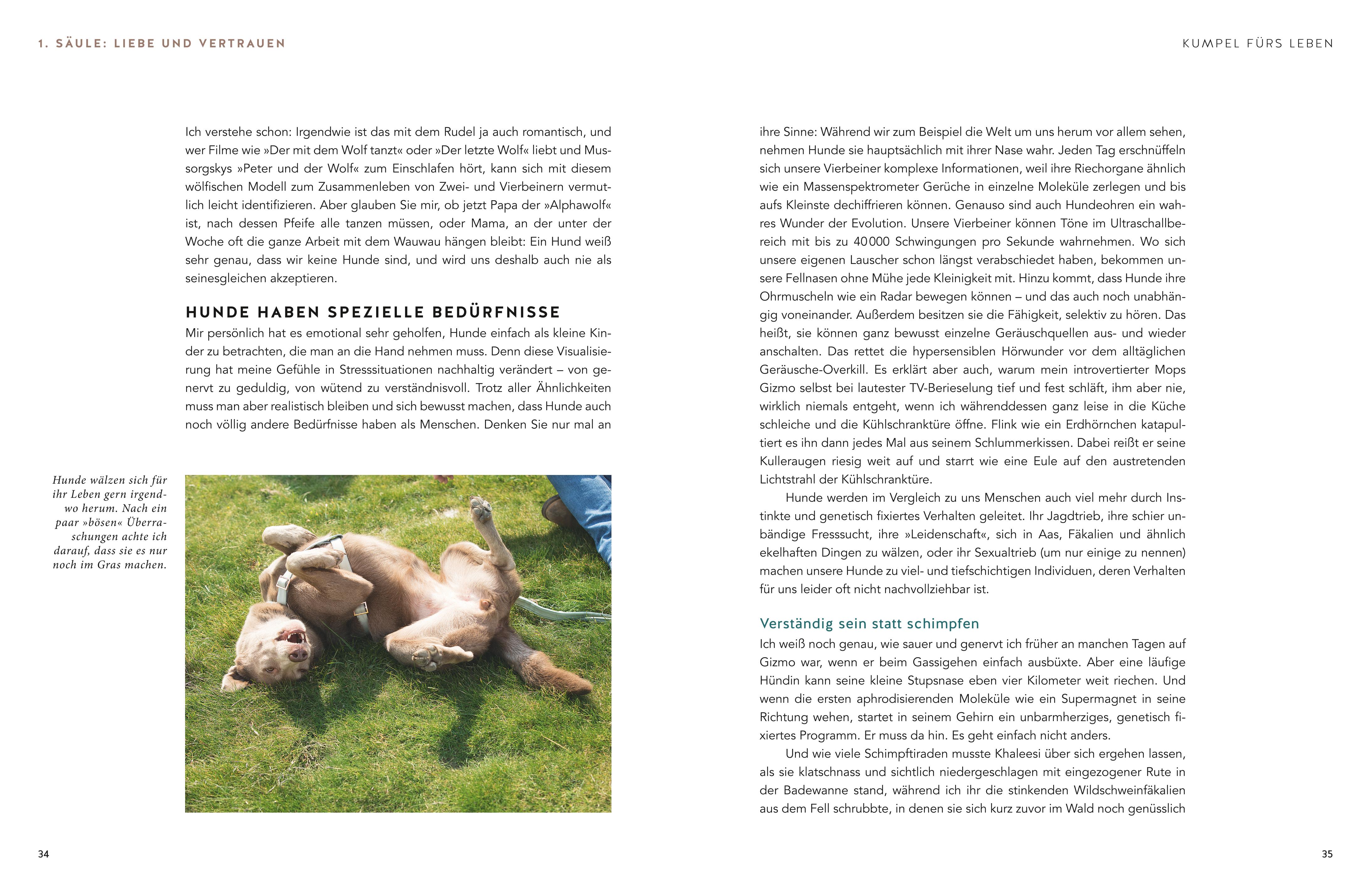 9783833870965_innenansicht_07 9783833870965_innenansicht_07.jpg