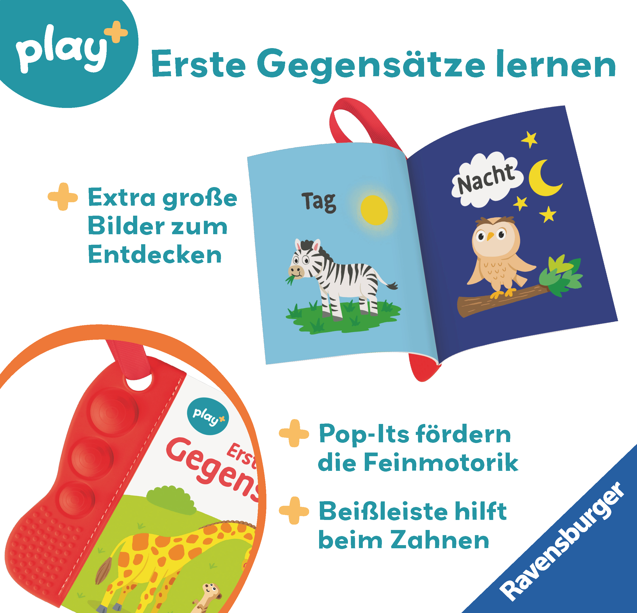 9783473456338_innenansicht_03.jpg