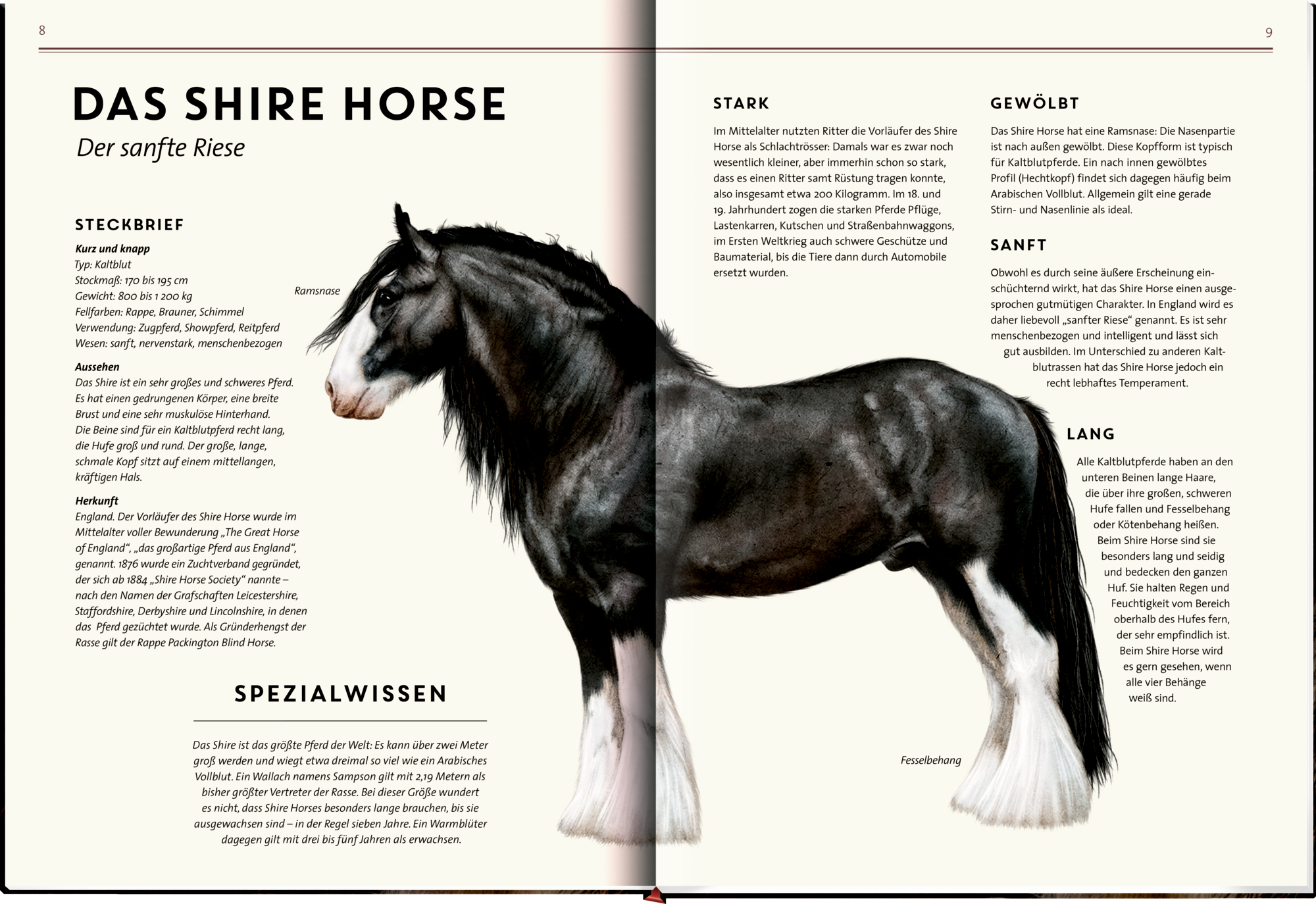 9783649646495_innenansicht_12 9783649646495_innenansicht_12.jpg