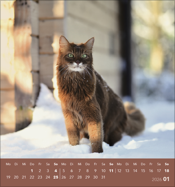 9783731884071_innenansicht_01 9783731884071_innenansicht_01.jpg