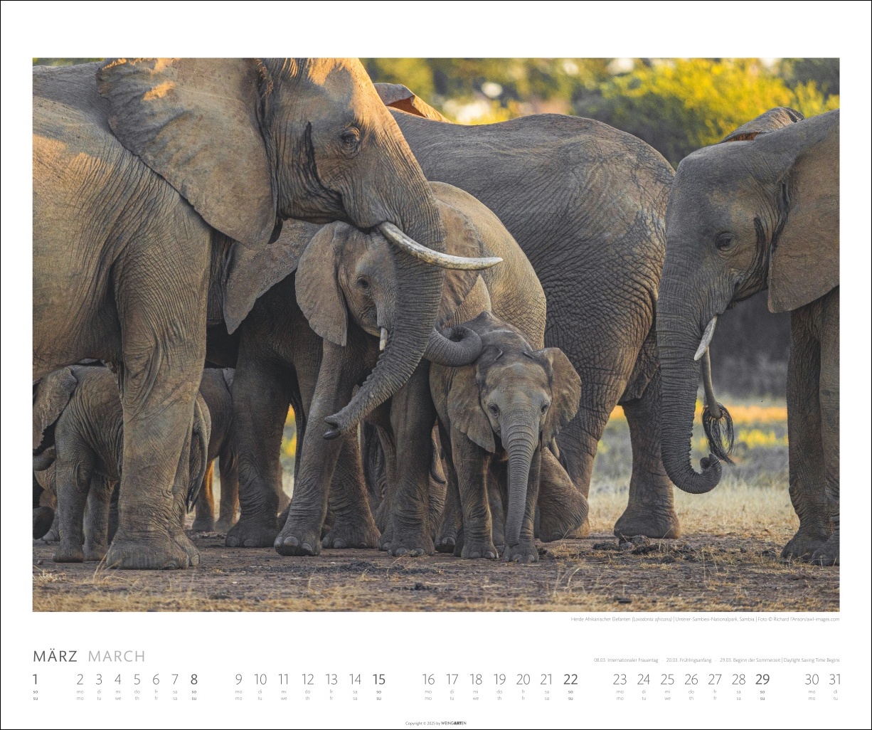 9783839901908_innenansicht_03 9783839901908_innenansicht_03.jpg