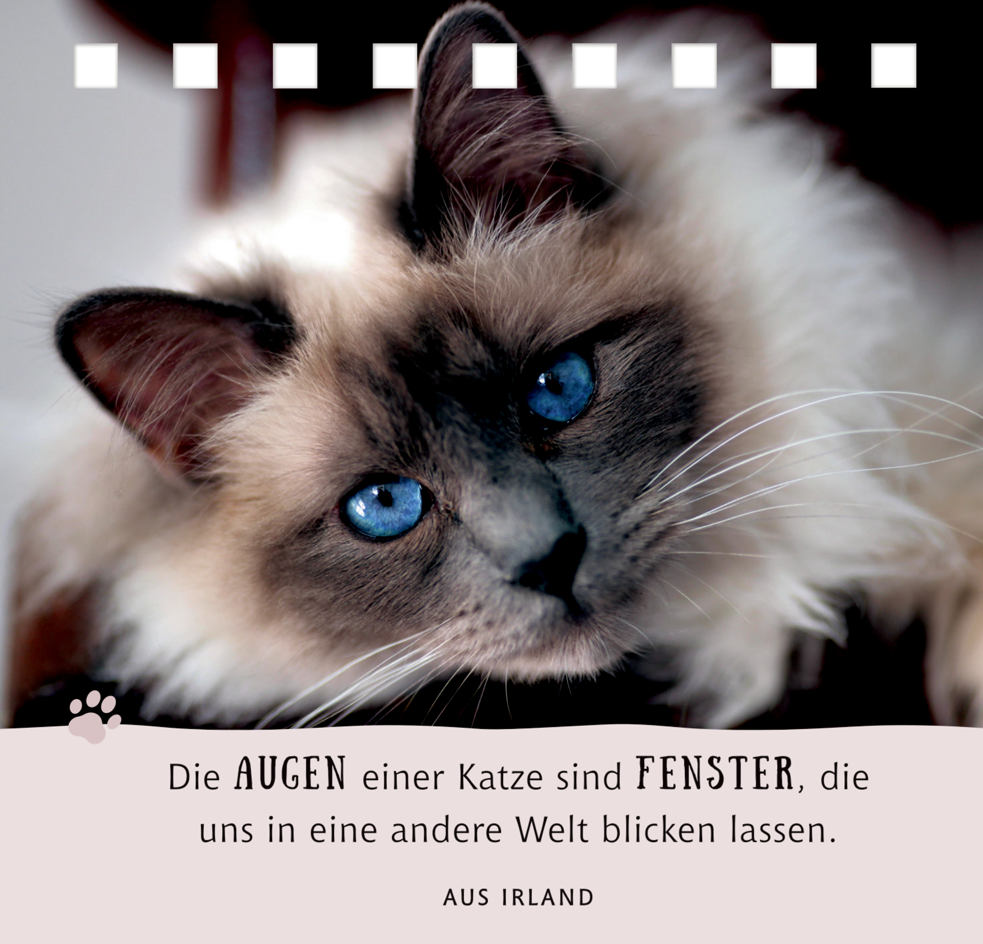9783649645726_innenansicht_11.jpg