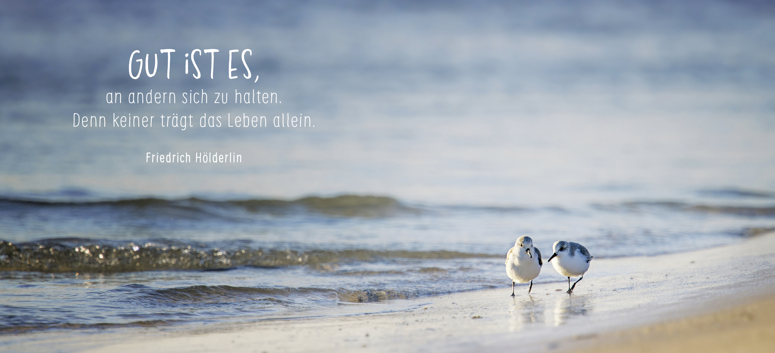 9783848502080_innenansicht_02.jpg