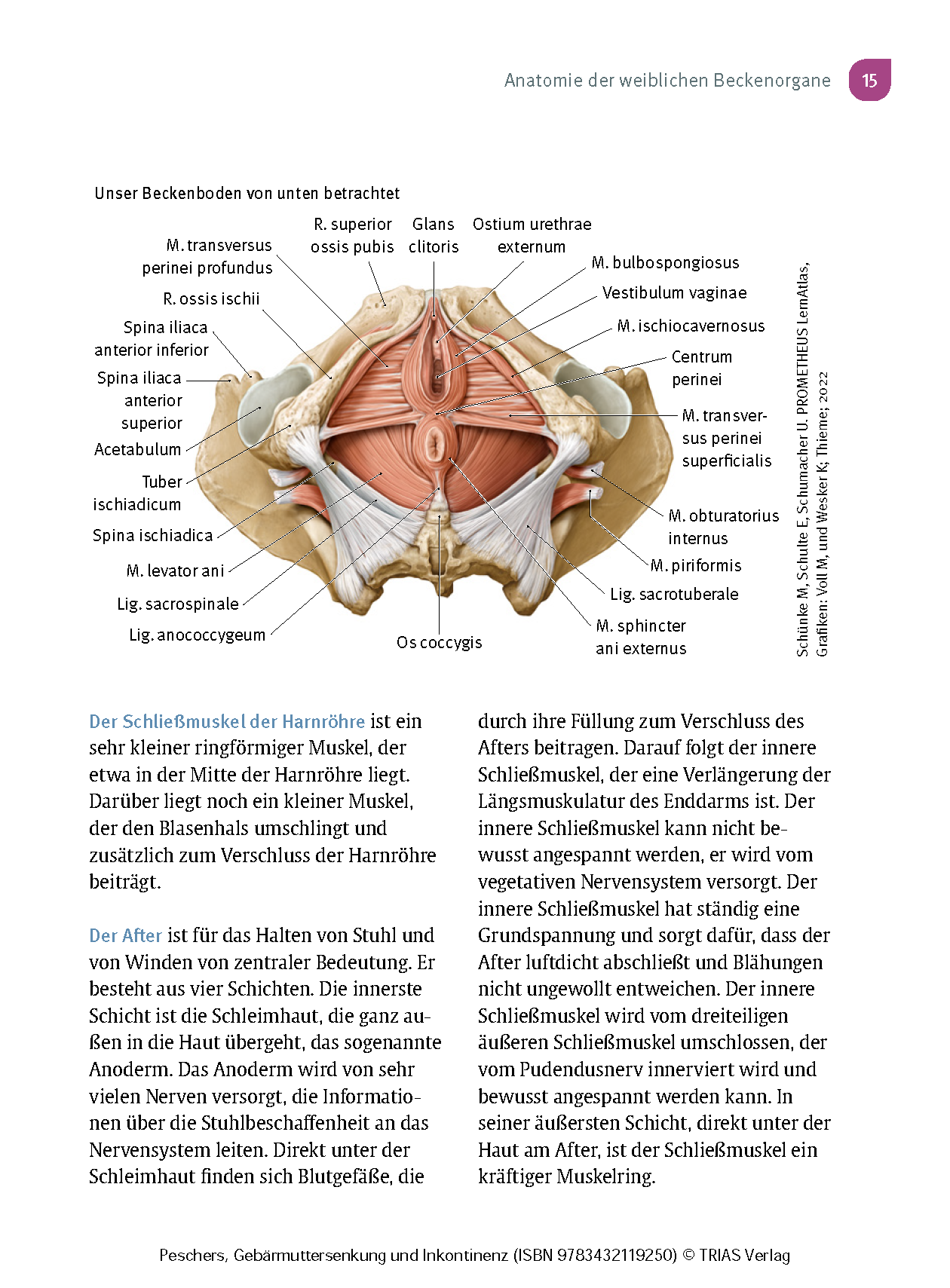 9783432119250_innenansicht_12 9783432119250_innenansicht_12.png