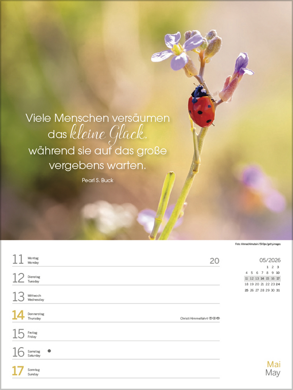 9783731890294_innenansicht_04.jpg