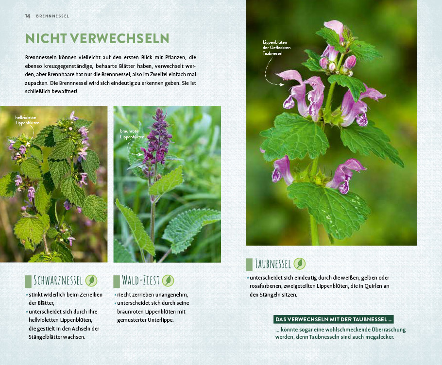 9783818617622_innenansicht_03 9783818617622_innenansicht_03.jpg