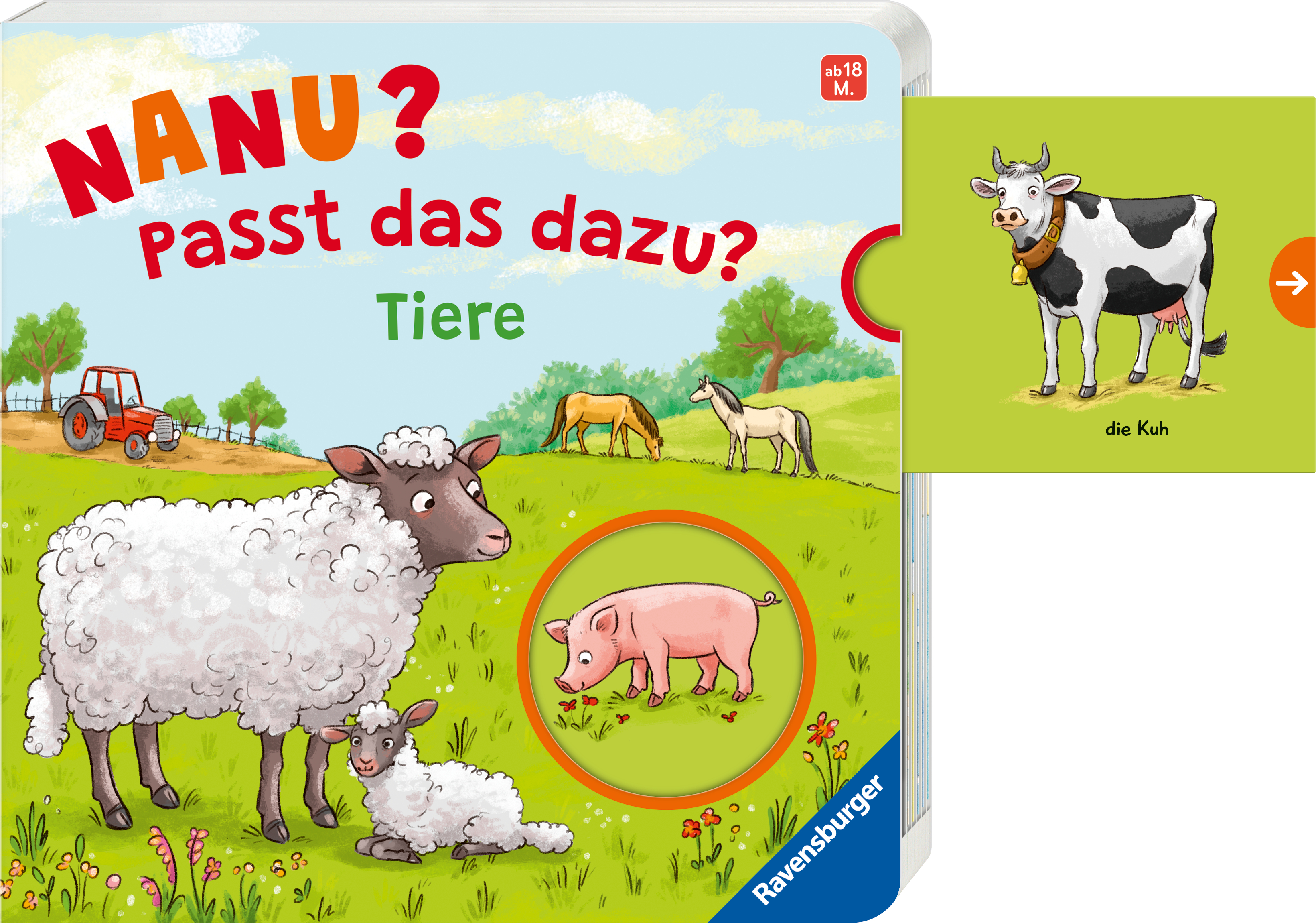 9783473420261_innenansicht_05.jpg