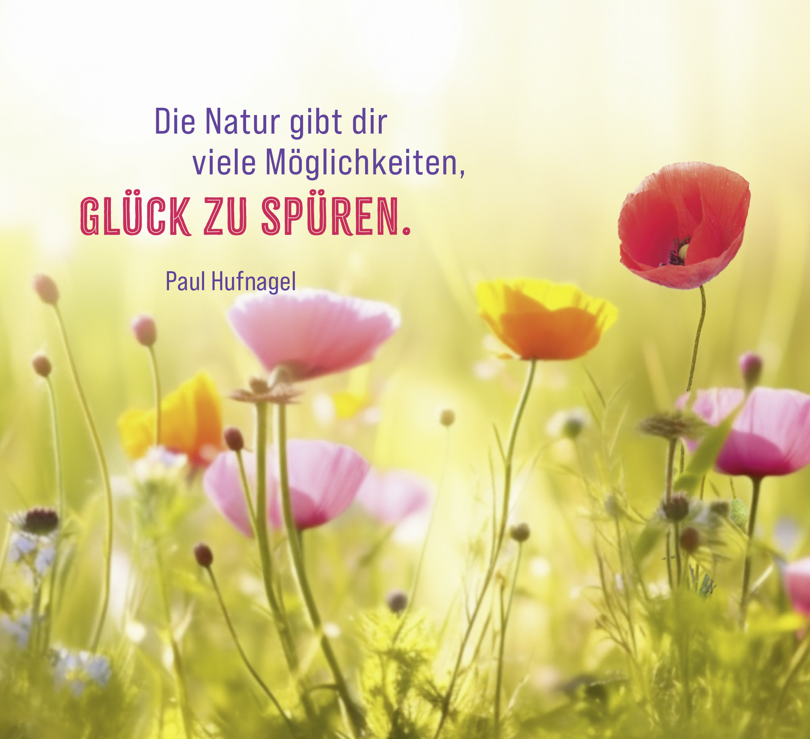 9783848502714_innenansicht_01.png