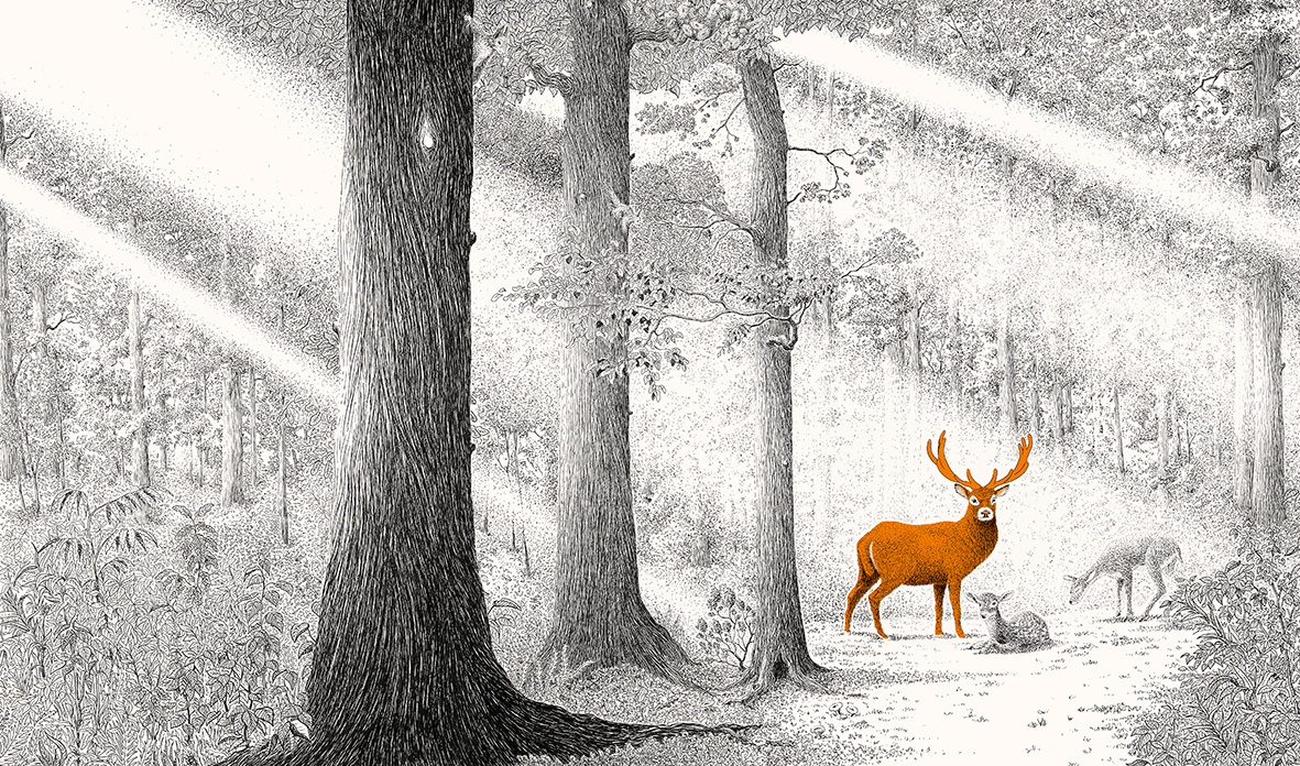 9783772531989_innenansicht_01 9783772531989_innenansicht_01.jpg