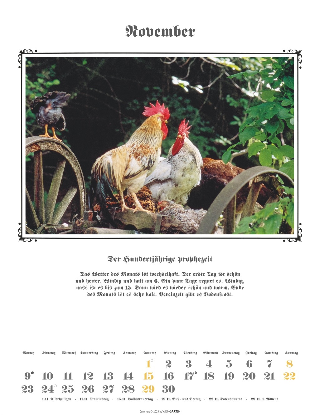 9783839902097_innenansicht_11.jpg