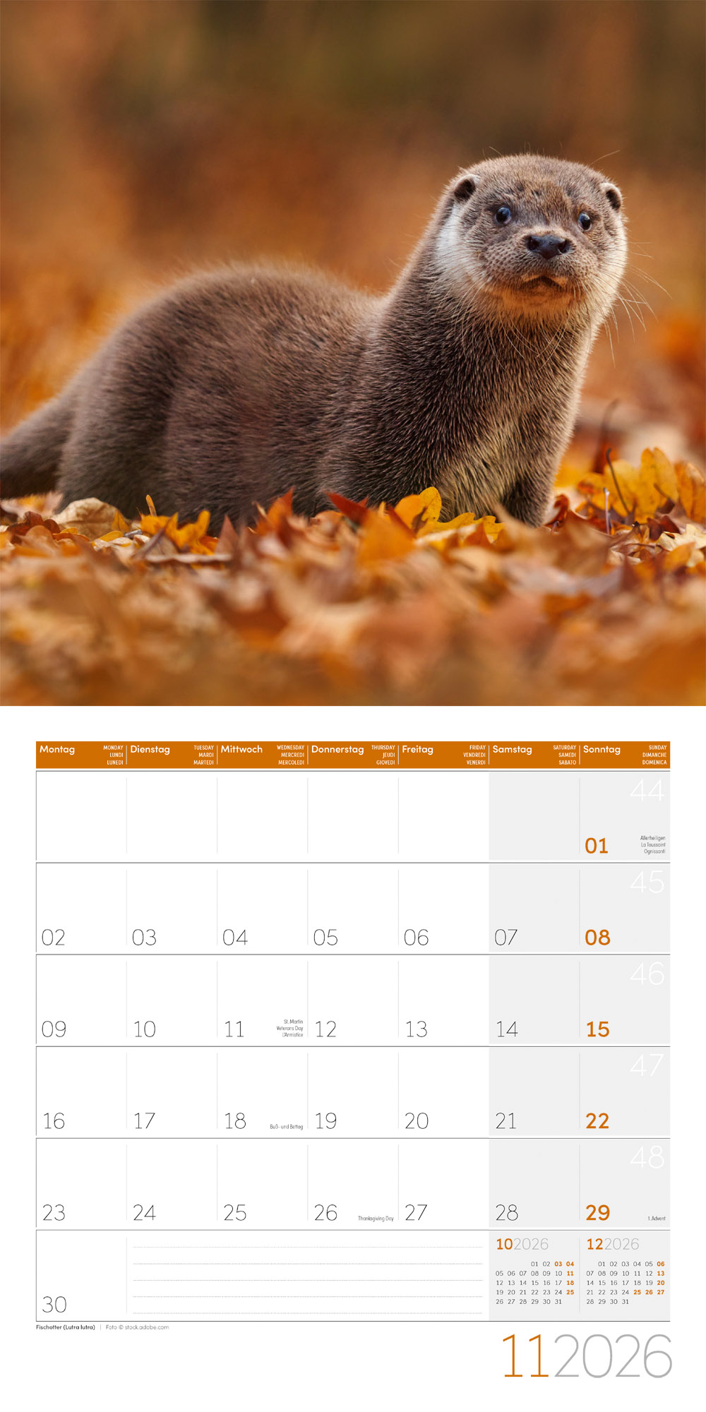 9783838446264_innenansicht_11 9783838446264_innenansicht_11.jpg