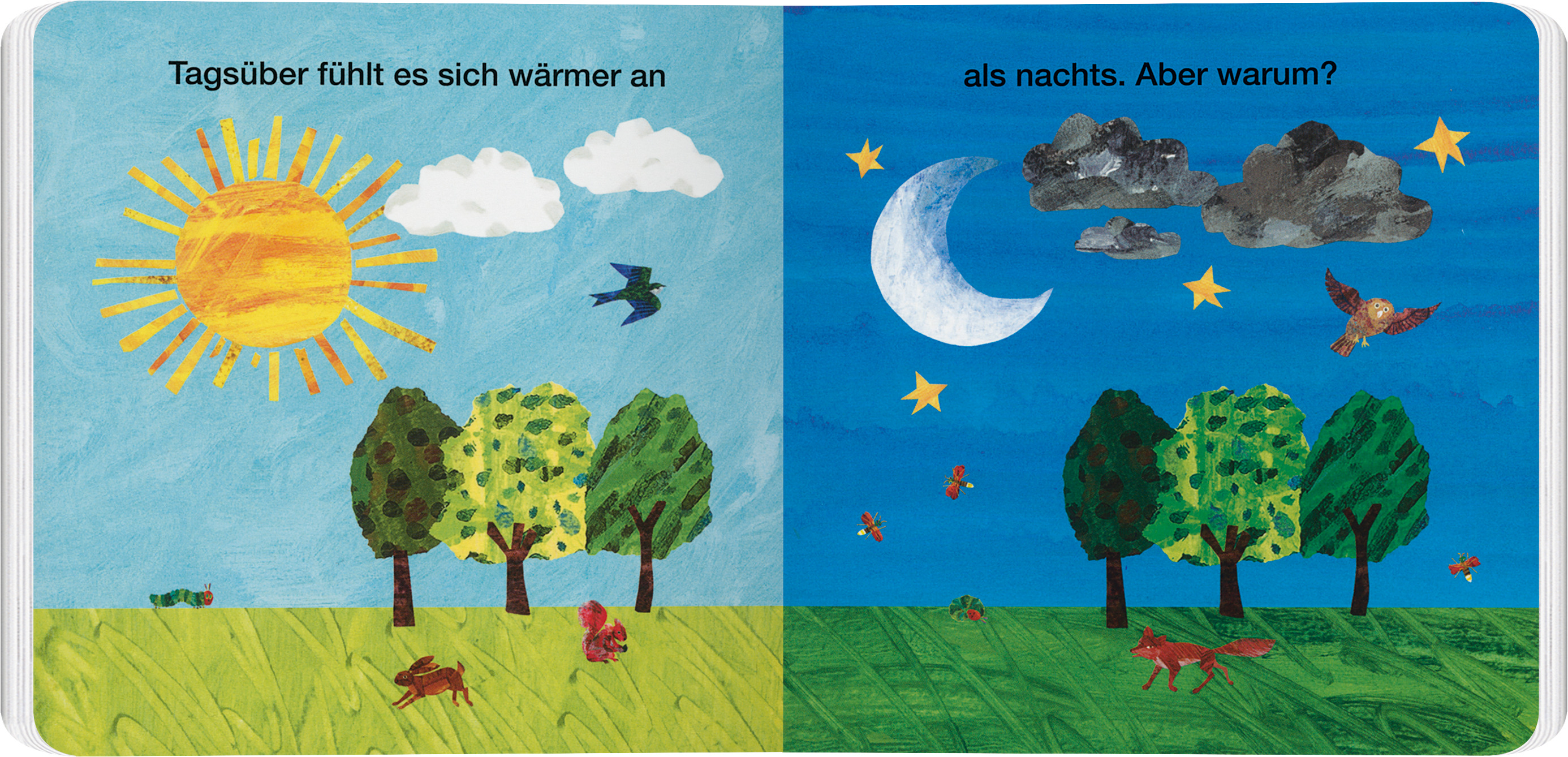 9783836963756_innenansicht_01.jpg