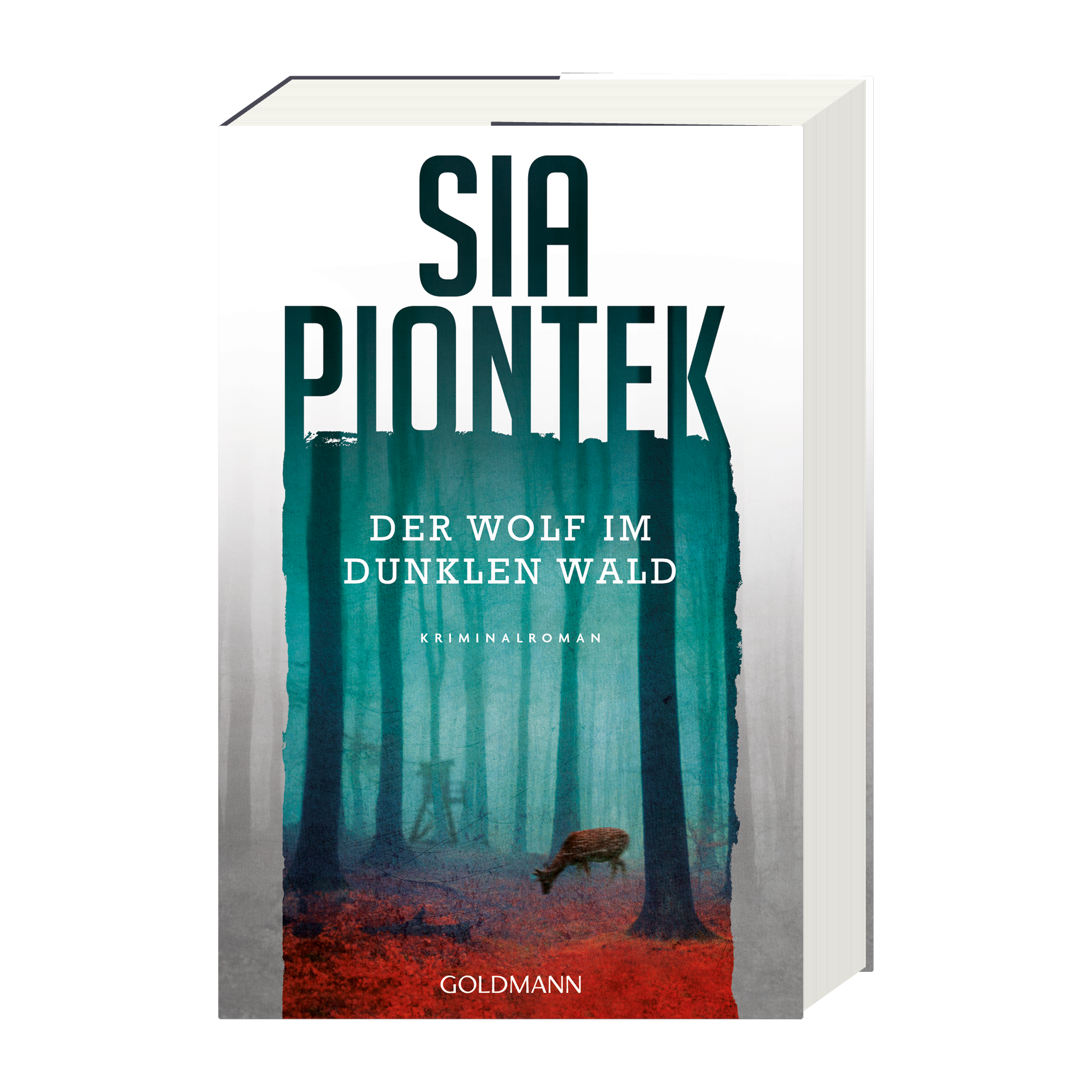 9783442206636_innenansicht_01.png