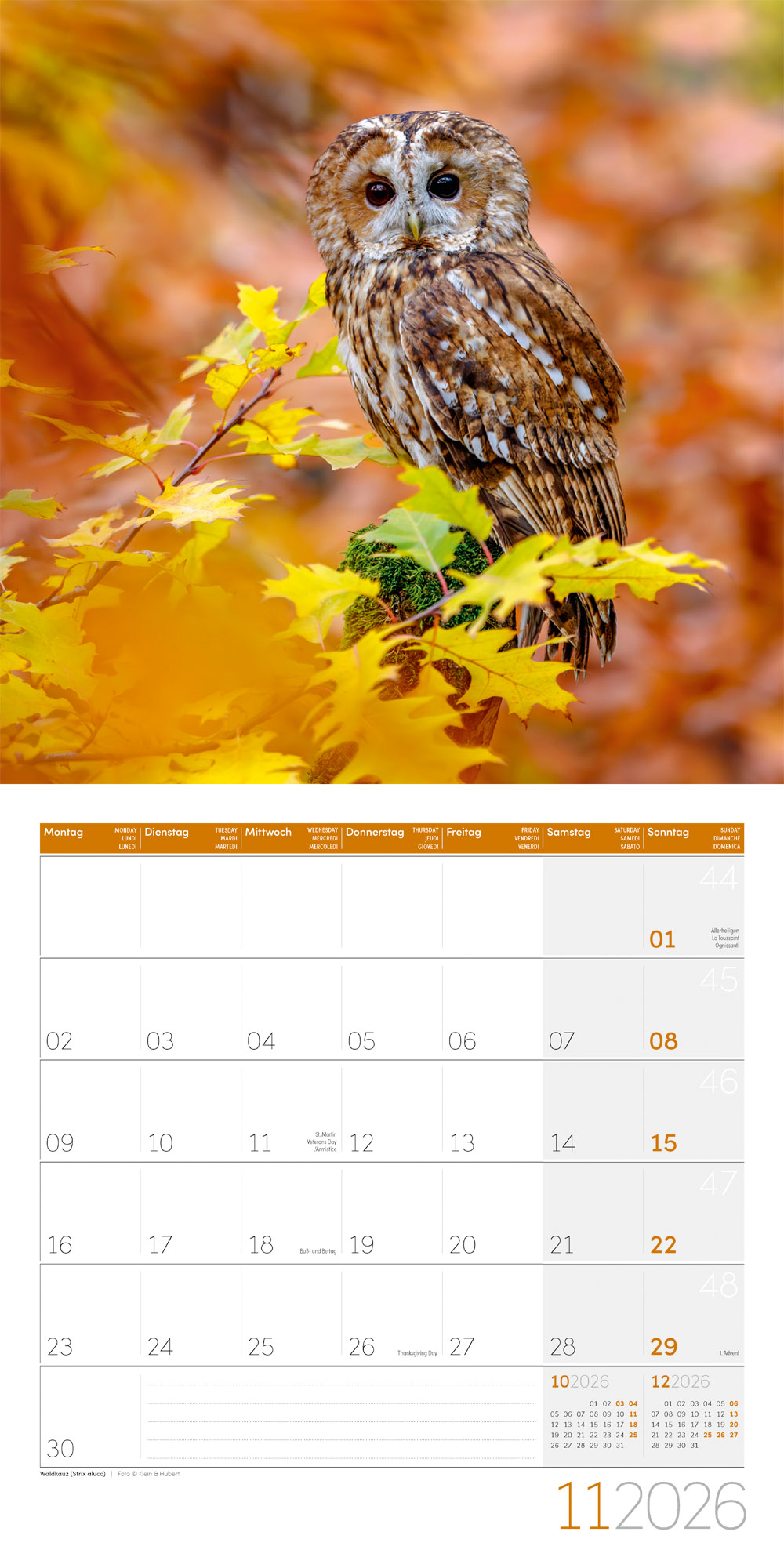 9783838446240_innenansicht_11 9783838446240_innenansicht_11.jpg