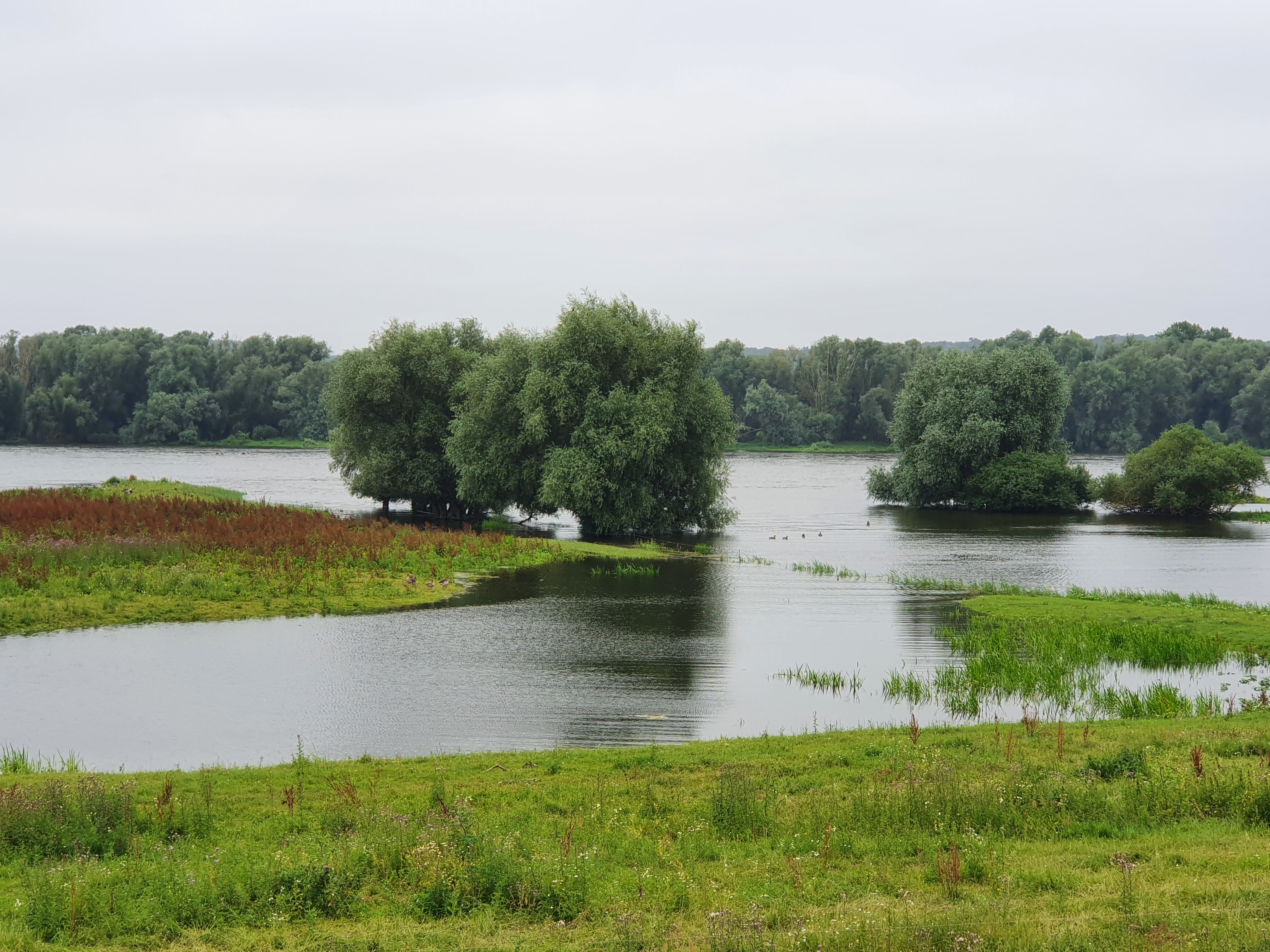 9783453361485_innenansicht_09.jpg