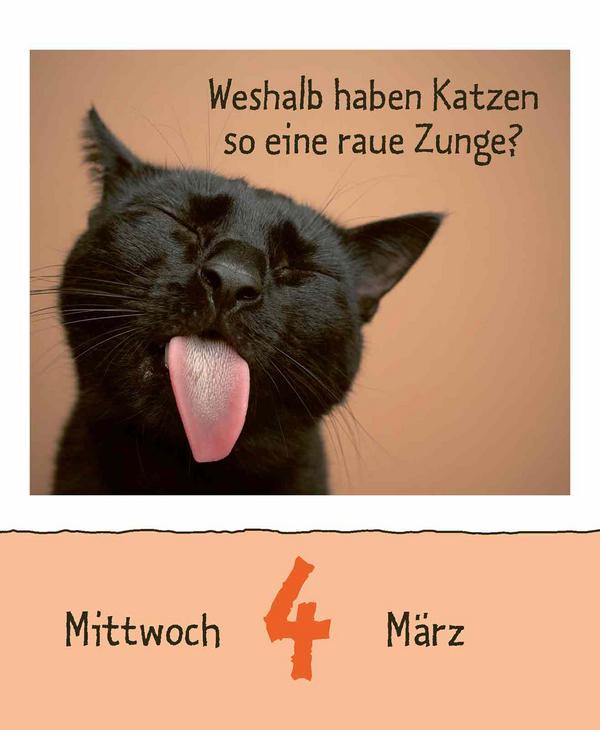 9783731889199_innenansicht_05.jpg