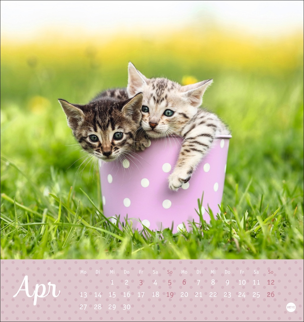 9783756410460_innenansicht_04 9783756410460_innenansicht_04.jpg