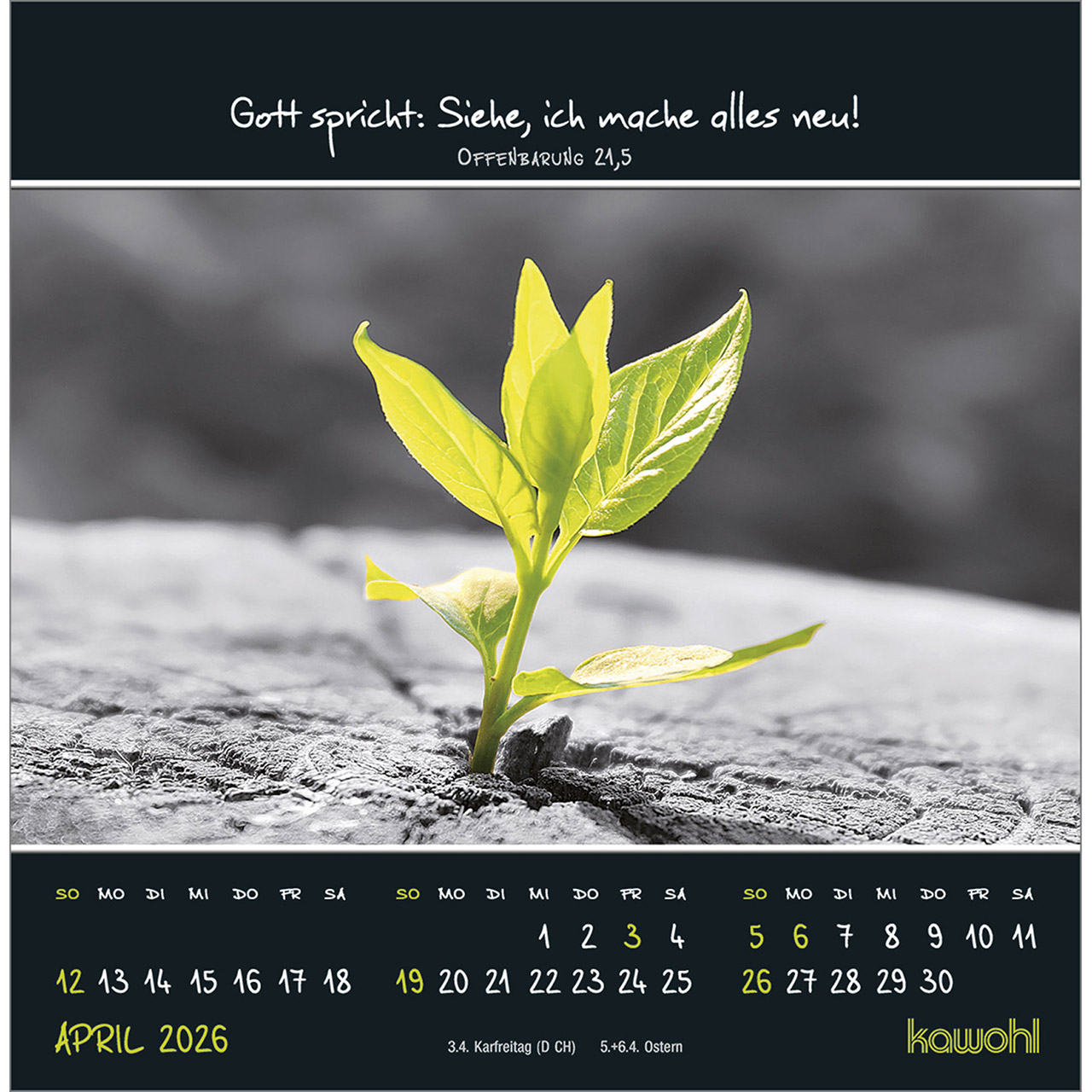 9783754815267_innenansicht_04.jpg