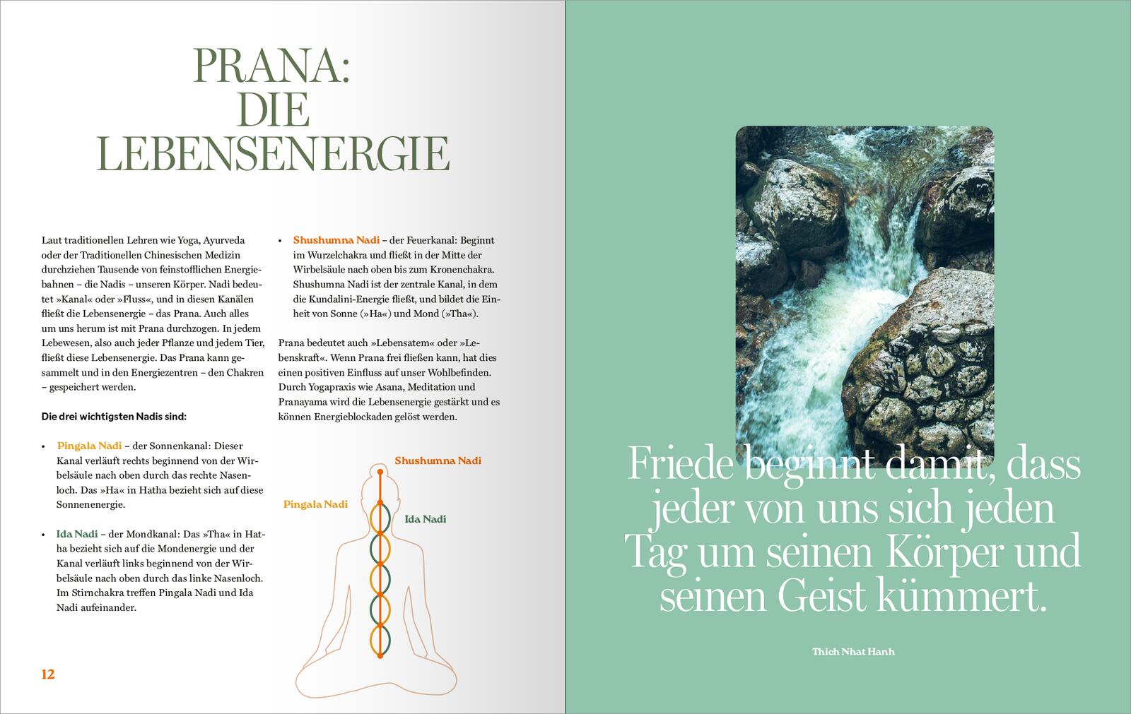 9783845862897_innenansicht_03.jpg