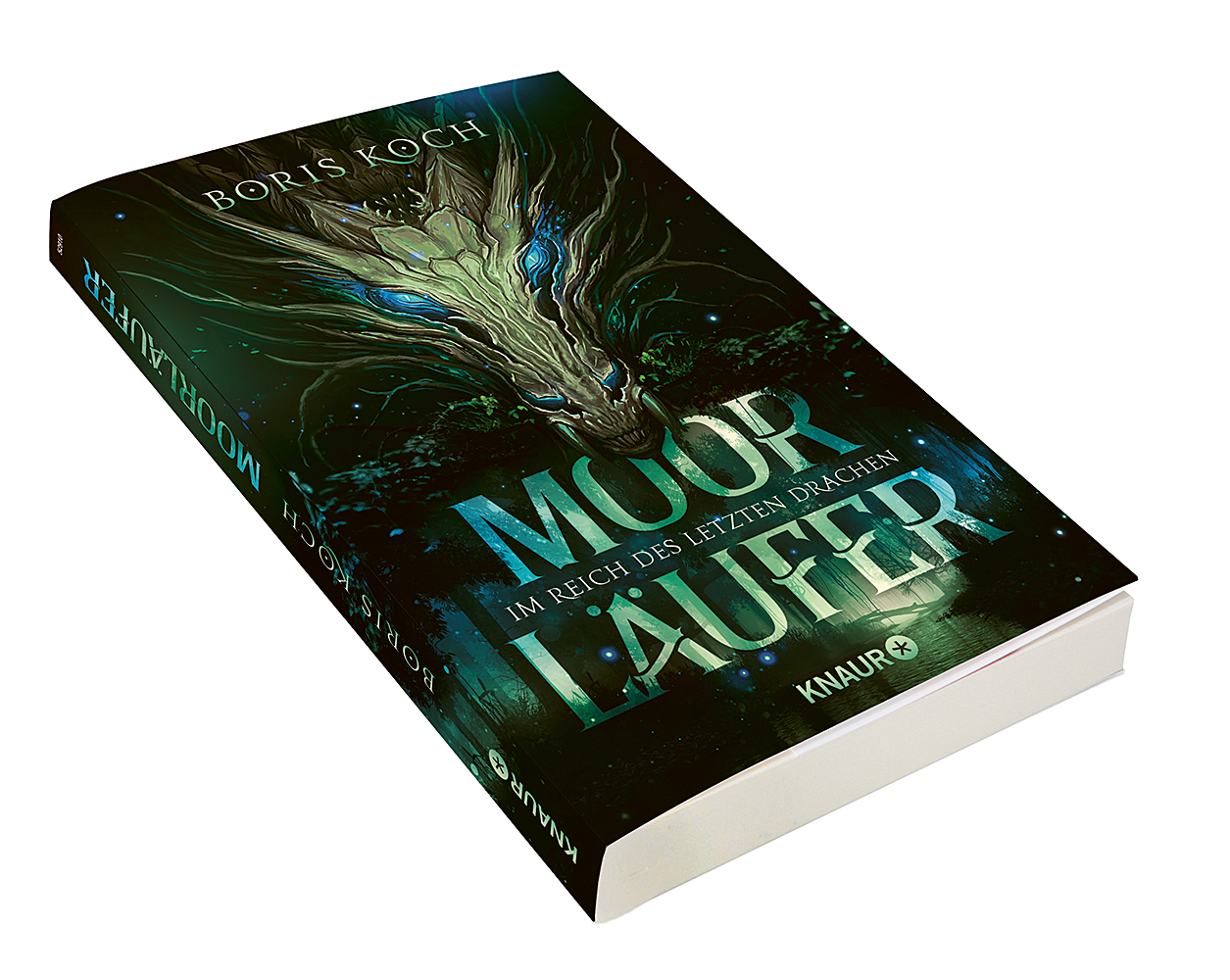 9783426529102_innenansicht_01 9783426529102_innenansicht_01.jpg