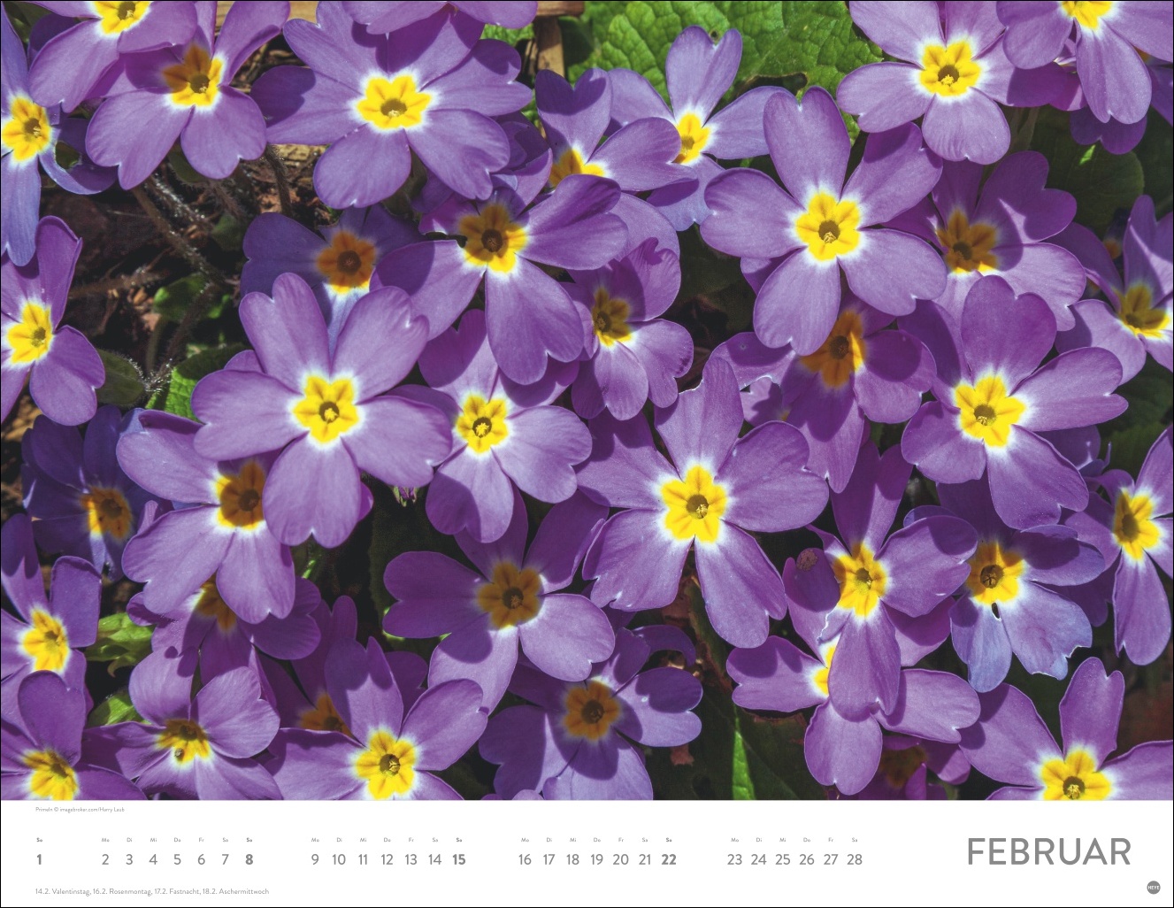 9783756414116_innenansicht_02 9783756414116_innenansicht_02.jpg