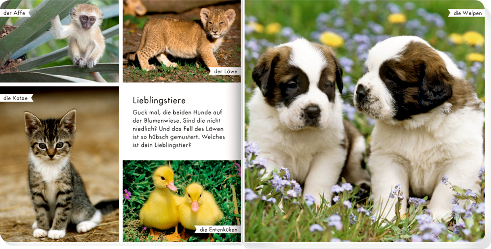 9783649641452_innenansicht_03.jpg