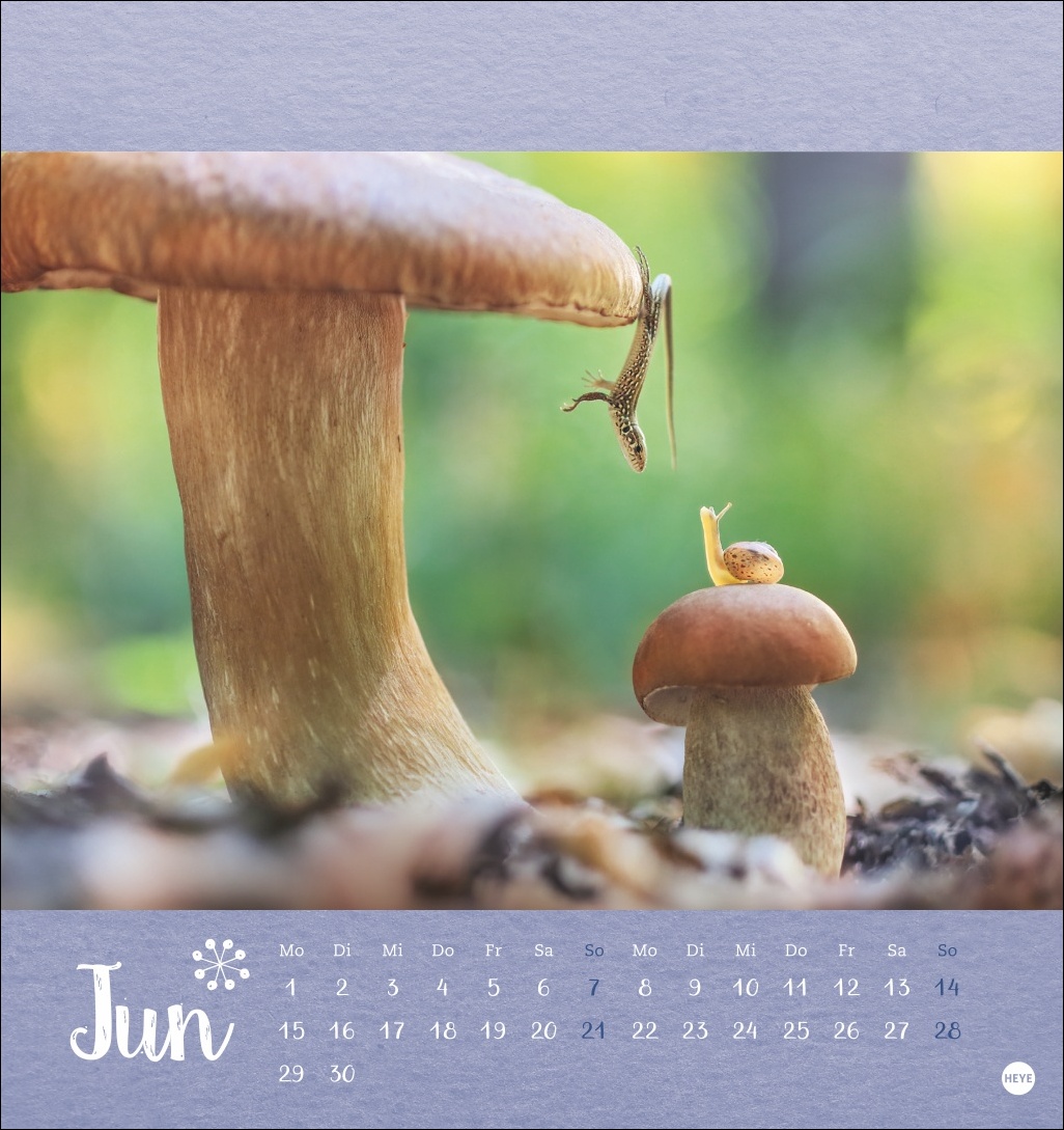 9783756411689_innenansicht_06 9783756411689_innenansicht_06.jpg