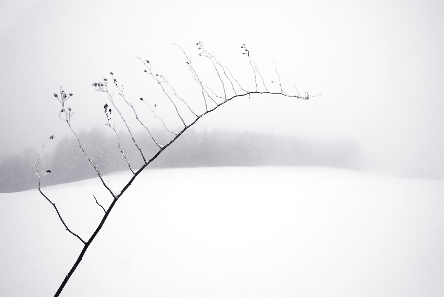 9783949070310_innenansicht_04 9783949070310_innenansicht_04.jpg