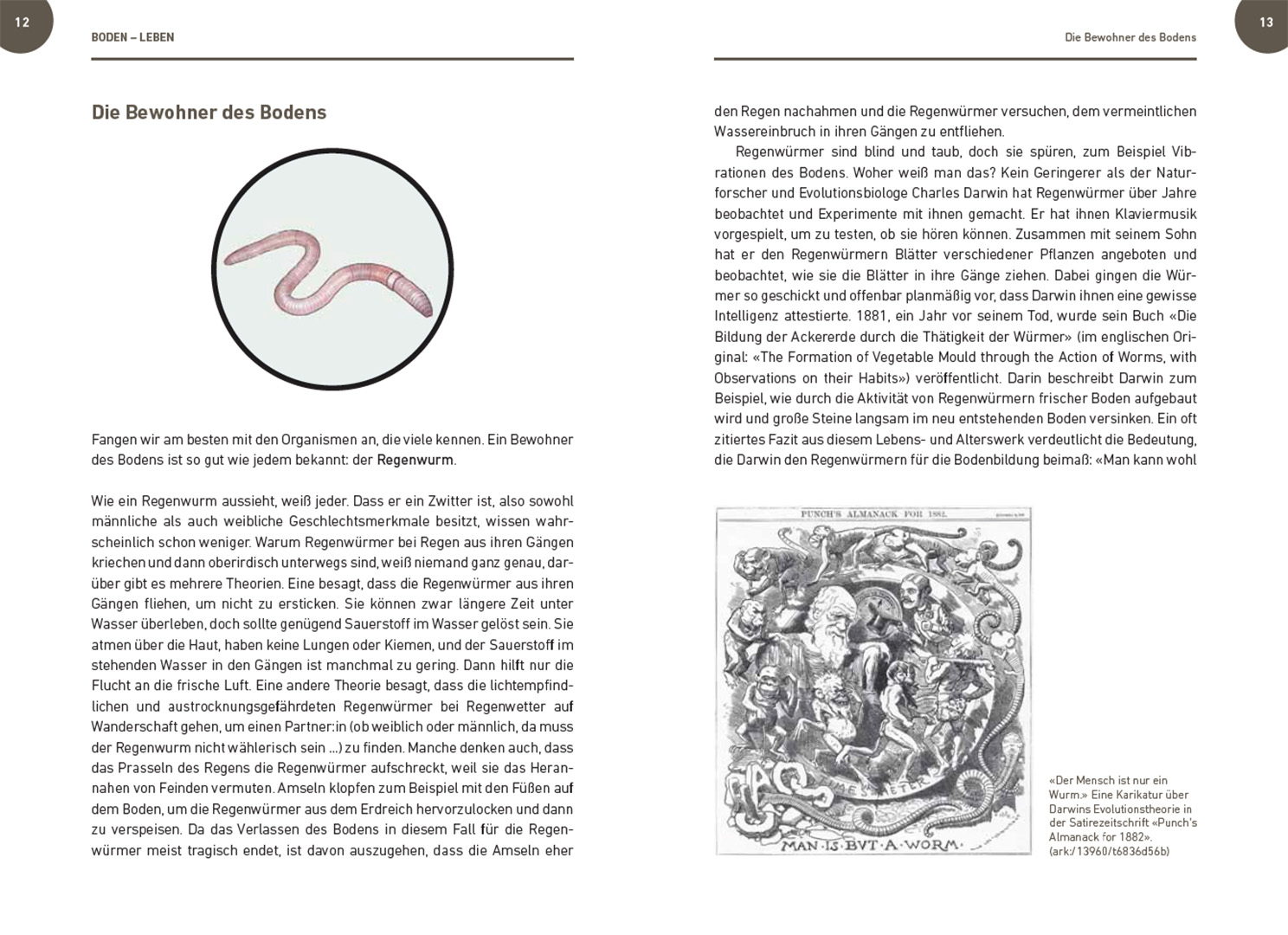 9783258083957_innenansicht_02 9783258083957_innenansicht_02.jpg