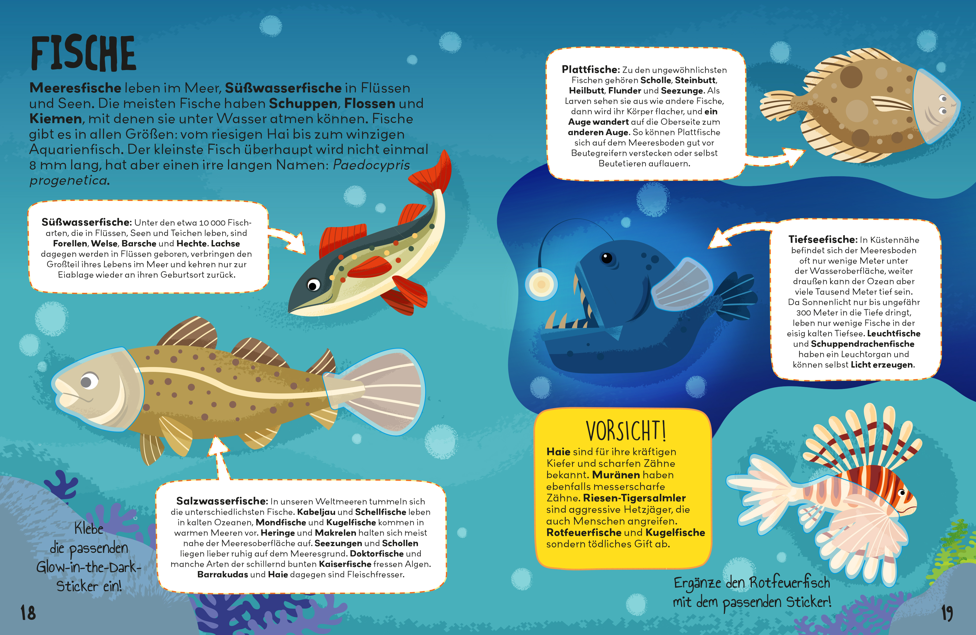 9783833244223_innenansicht_02 9783833244223_innenansicht_02.jpg