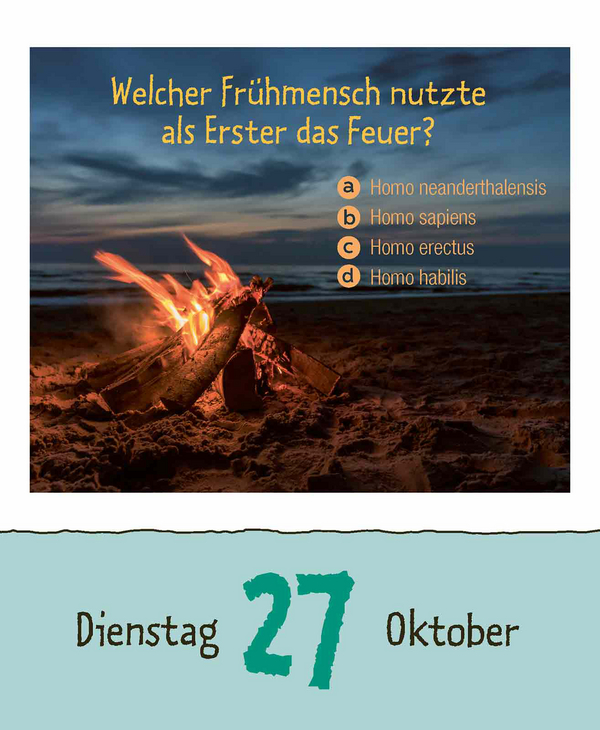 9783731887041_innenansicht_13.jpg