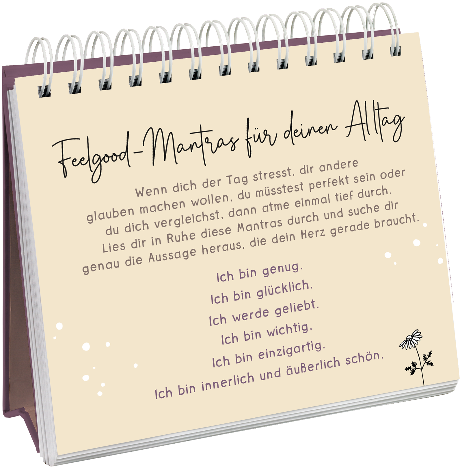 9783848500598_innenansicht_10.png
