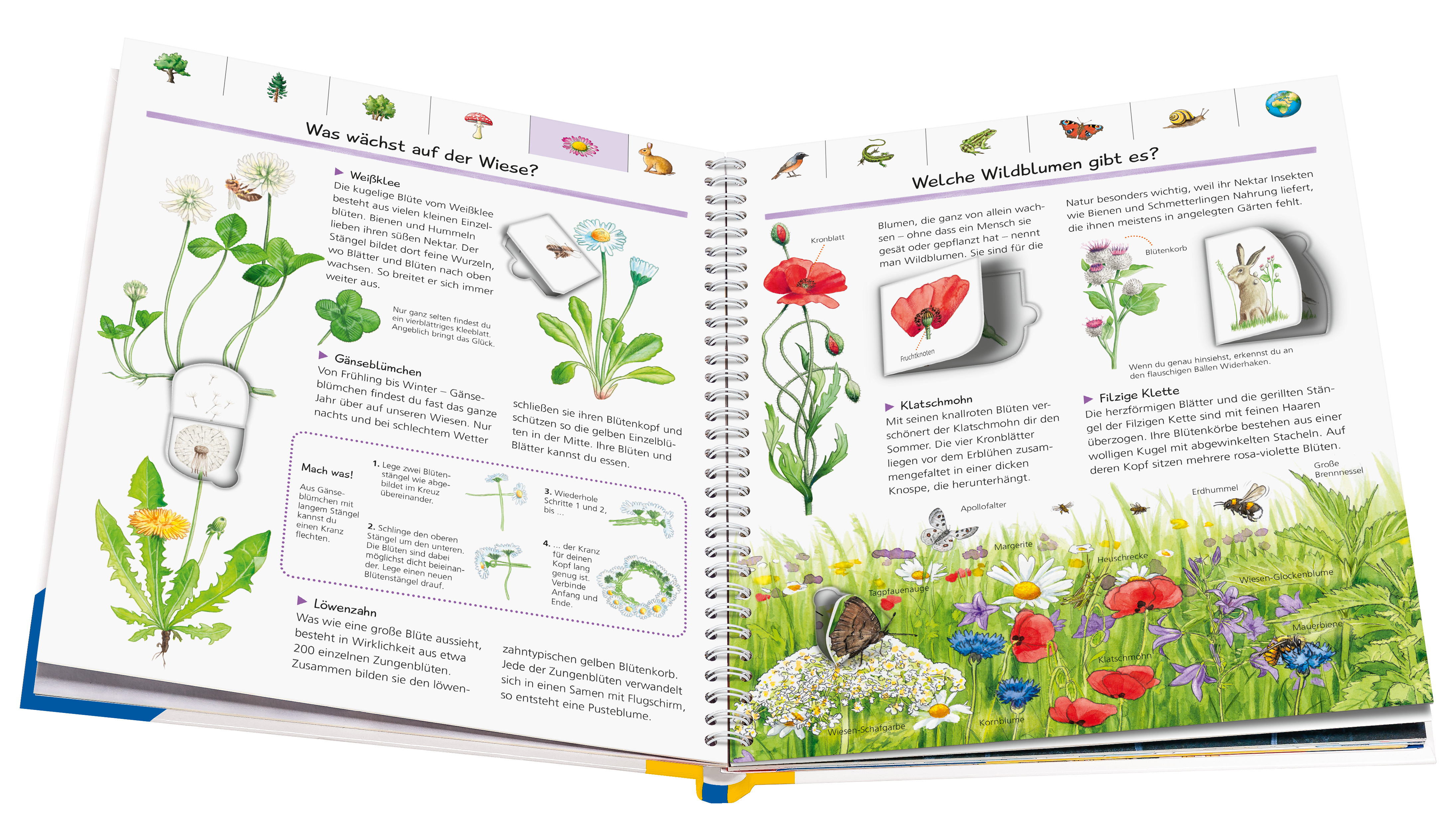 9783473329892_innenansicht_02 9783473329892_innenansicht_02.jpg