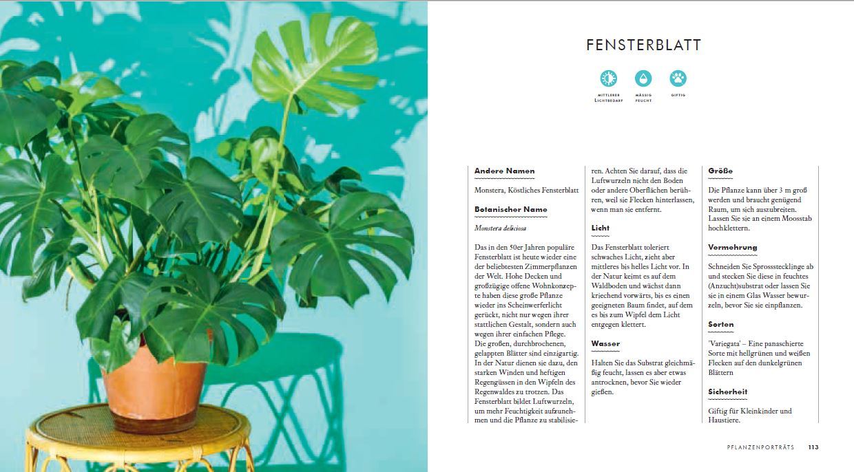 9783809441717_innenansicht_01 9783809441717_innenansicht_01.jpg