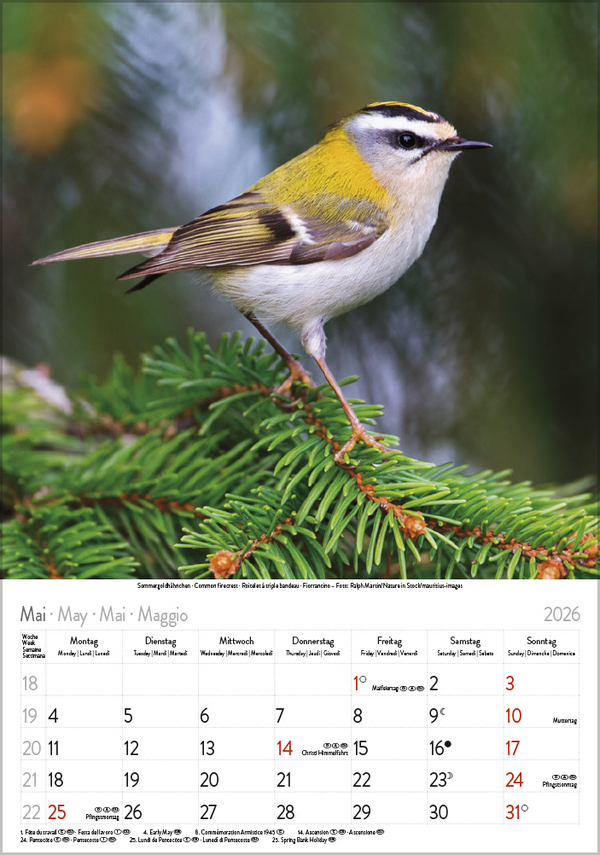 9783731883647_innenansicht_05 9783731883647_innenansicht_05.jpg