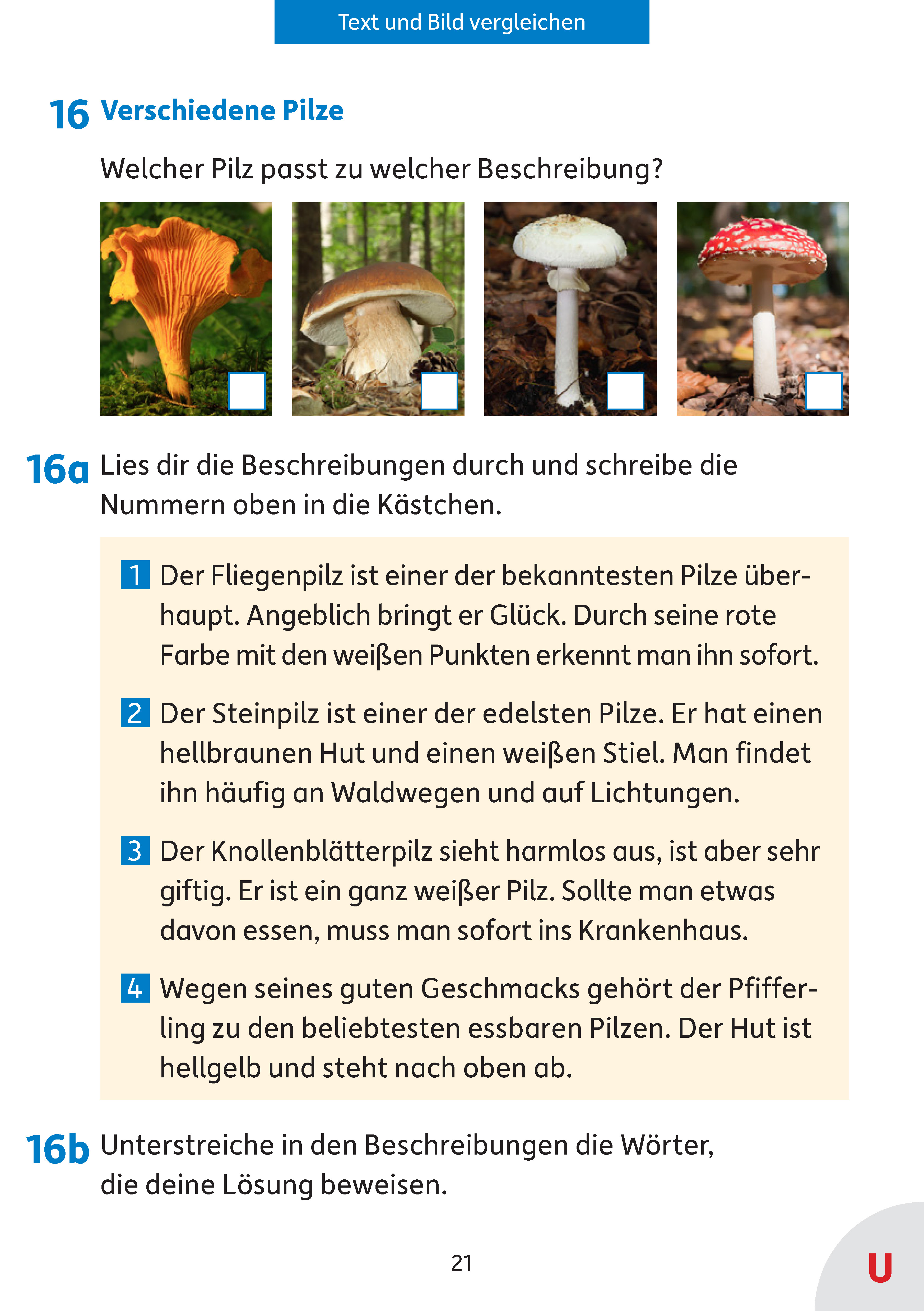 9783881002738_innenansicht_05 9783881002738_innenansicht_05.jpg