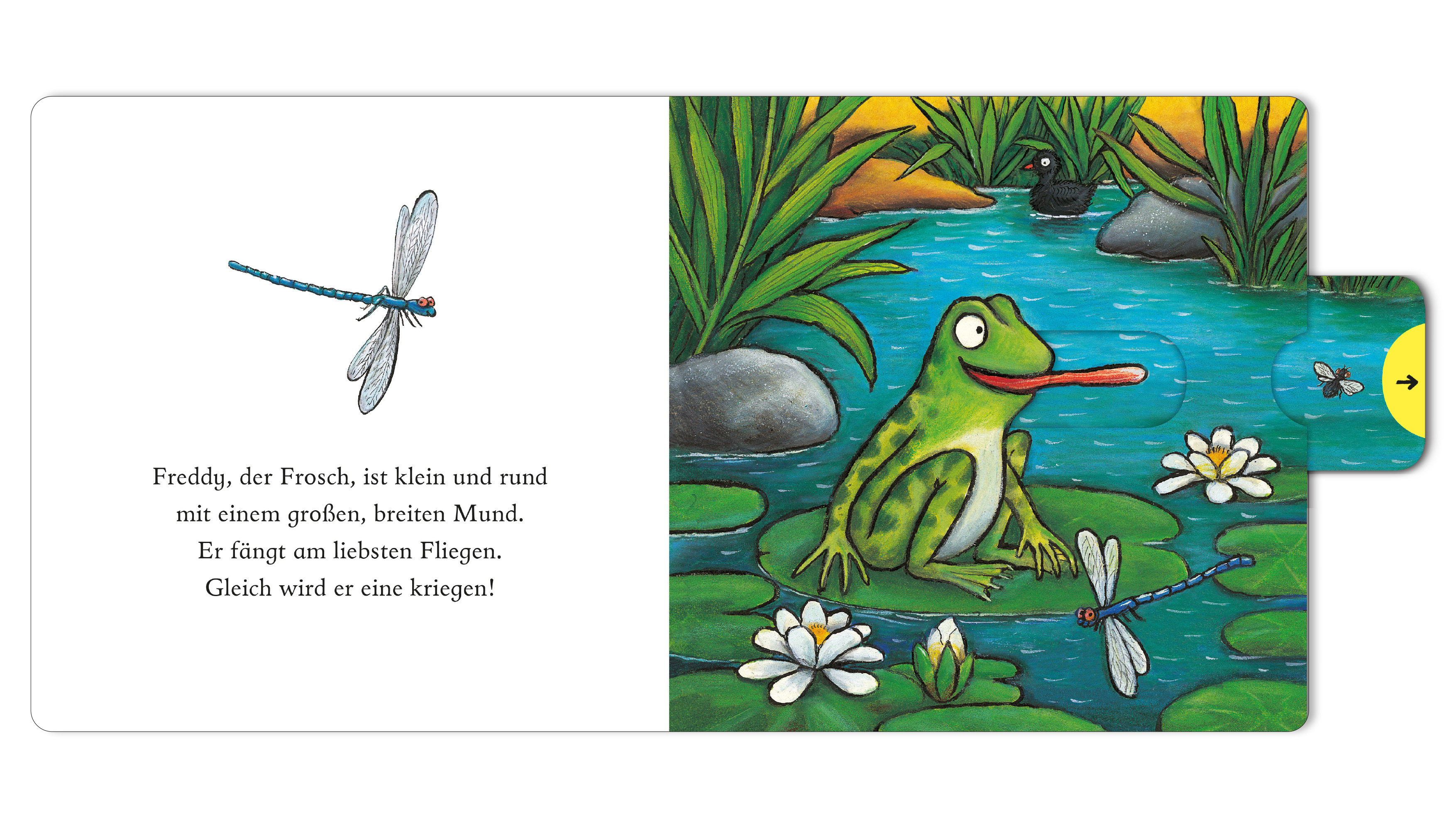 9783407759597_innenansicht_02 9783407759597_innenansicht_02.jpg