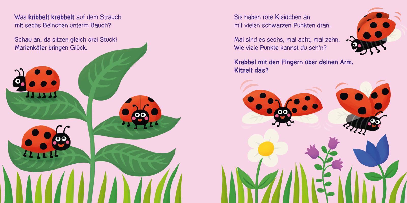 9783551062857_innenansicht_04.jpg